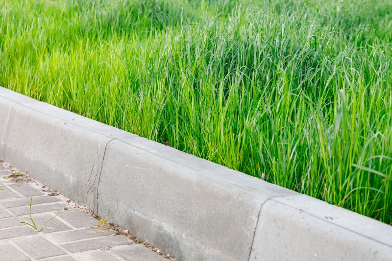 Concrete Curbing Repair in Corpus Christi, TX