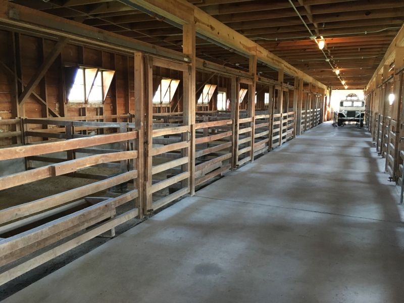 Livestock Stall Bedding