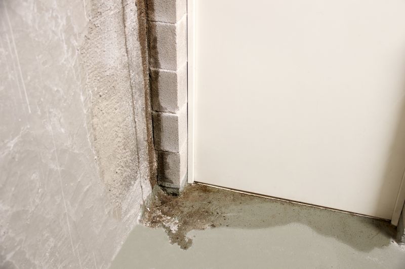 Leaking Basement Repair in Montgomery, AL