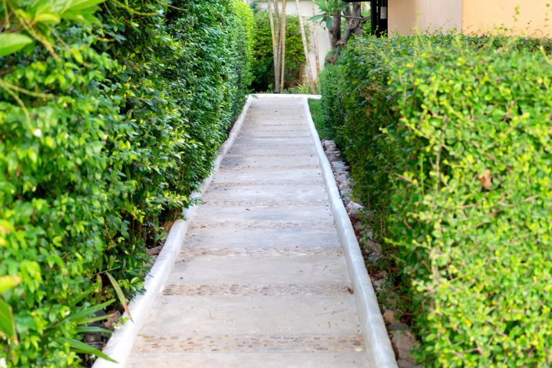Pathway Repair in Des Moines, IA